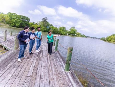 Students learning about coastal resiliency 